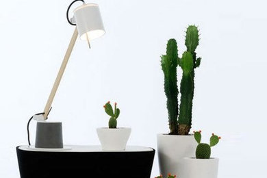 Lighting