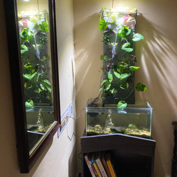 Aquaponics Living wall