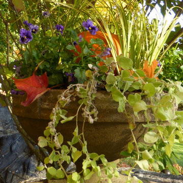 Fall Container Design