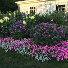 Yard - Flowers