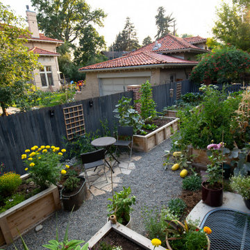 Edible Eden Side Yard