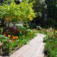 Landscape Ideas
