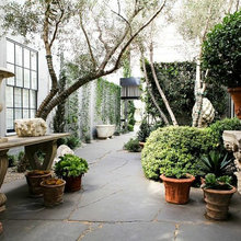 backyard ideas