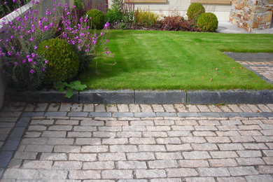 Driveway and Front Lawn