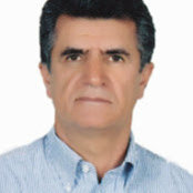 mohammad zoghi's photo