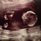 Foto de Christin Stephens Williams