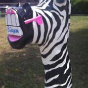 Fallon Hayess foto