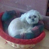 Foto von Angie Penny
