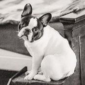 Melissa Hurst's photo