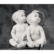 Beth Shapiro's photo