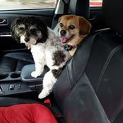 Jane Woods's photo