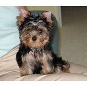 Joan Bock's photo