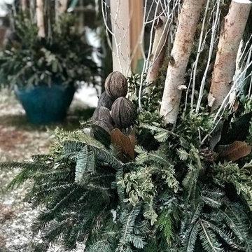 Winter Container Garden Design