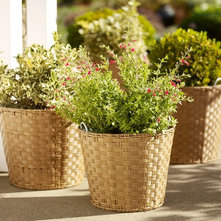 Contemporary Outdoor Pots And Planters by Pottery Barn