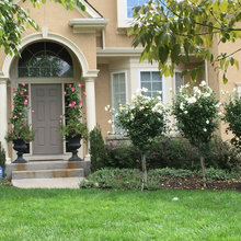 Landscaping