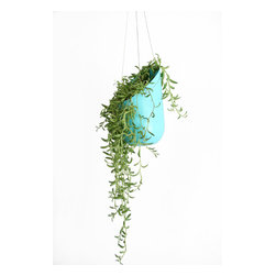 Hanging Planter-Turquois - Products