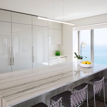 Gary Lee Partners - Michigan Ave Condo