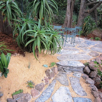 San Francisco Retaining Wall with Shade Garden