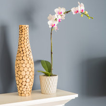 Decore