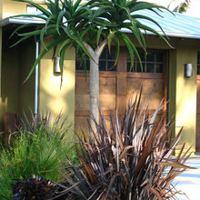 outdoor lighting