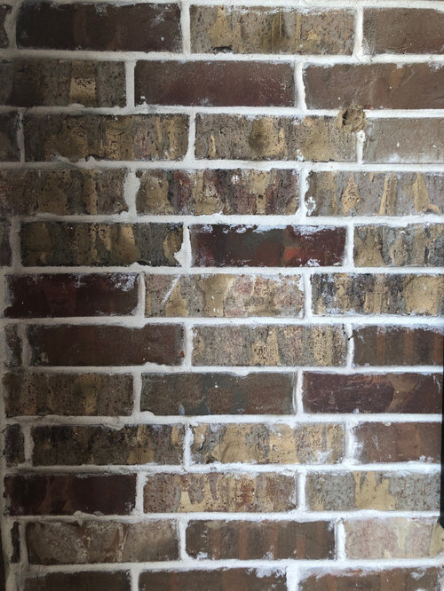 help with the decision- through color bricks or not? | Houzz Forum
