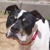 Bradley Hall's photo