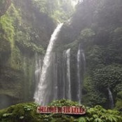 Hamish Tippett's photo