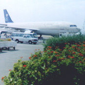 ALI ALORYANI's photo