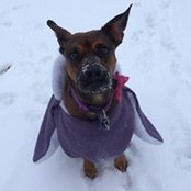 Katie Weaver's photo