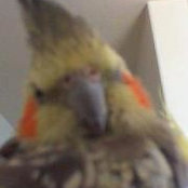 Foto von Wilma Sargento