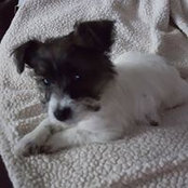 Tracy Kleminski's photo