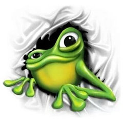 Bullfrog Construction