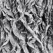 Jana Ibrahim's photo