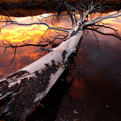 Interior Landscape Image Decor - Artwork