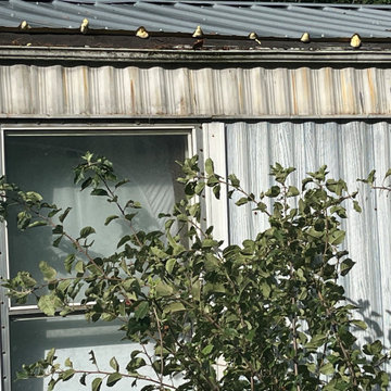 Tree fell through trailer roof repair