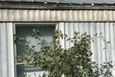 Tree fell through trailer roof repair