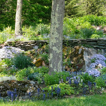 shade gardens