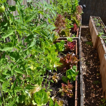 Organic Edible Gardens