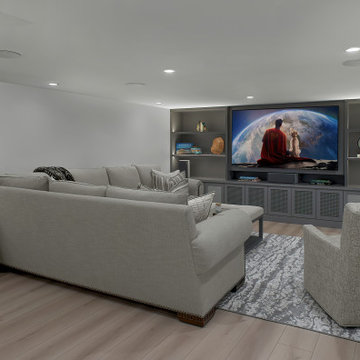Basement Renovation North Shore Chicago