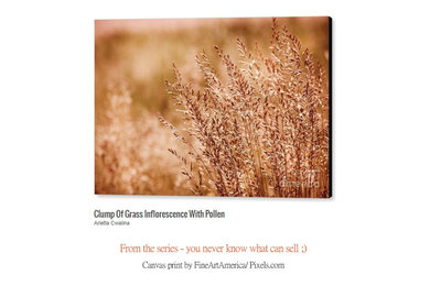 FineArtAmerica/ Pixels.com products
