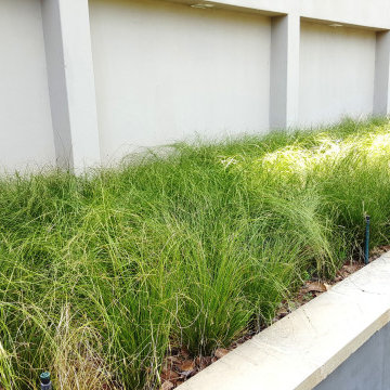 Gorgeous Gardens planters, raised flower beds
