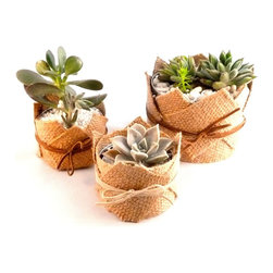 Our products - Accessories and Decor