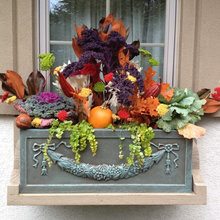 fall