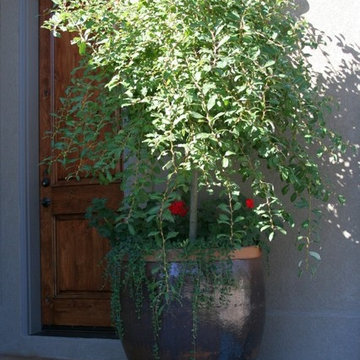 Blue Rustic Planter w/ Deciduous Tree