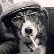 Massimo Fazio's photo
