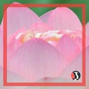 Saundra Ketner's photo