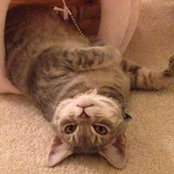 Audrey Heller's photo