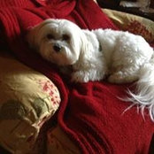 Anthe Tyndell's photo