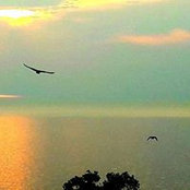 Monik Junik's photo