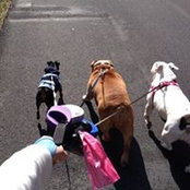 Shawn Campbell's photo